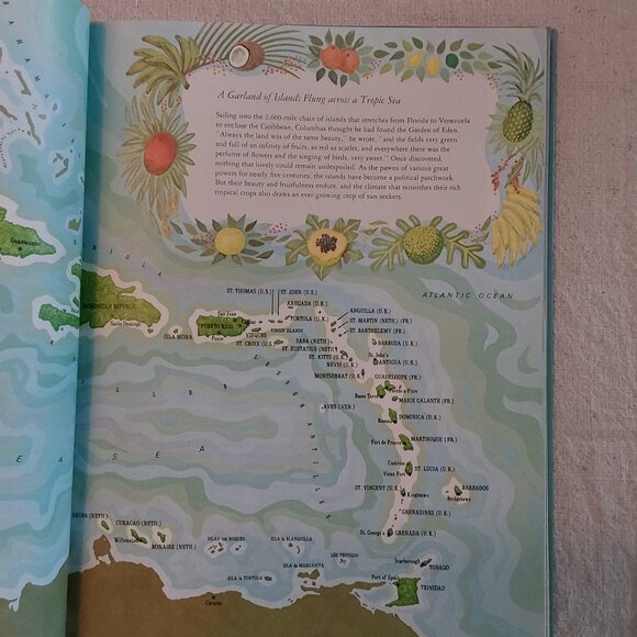 Vintage Time Life The Cooking of the Caribbean Islands cook book - Picture 5 of 13